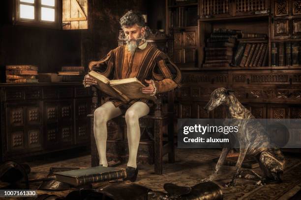 don quixote reading chivalry books - don quixote stock pictures, royalty-free photos & images