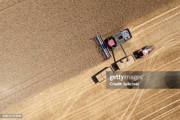 harvester harvests wheat on a field, thuringia, germany - harvesting stock pictures, royalty-free photos & images