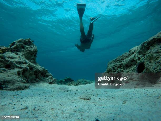homme de natation sur fond de mer - fonds marins photos et images de collection