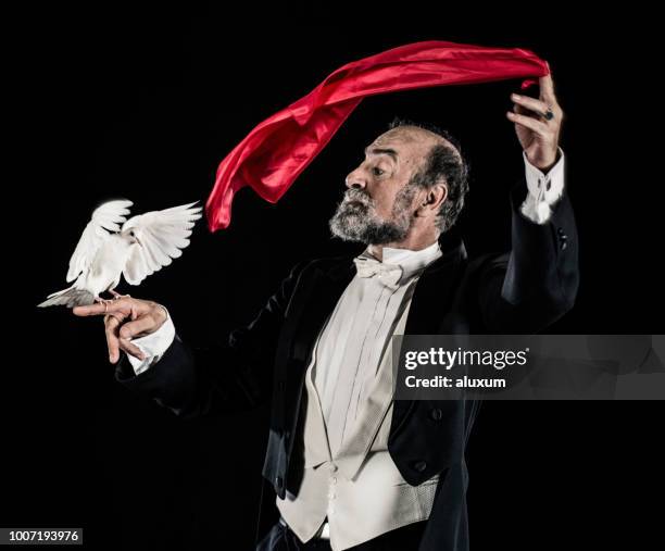 mago haciendo truco con palomas - wizard fotografías e imágenes de stock