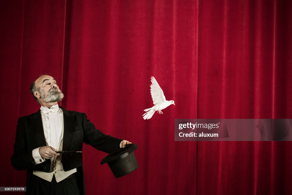 Magician trick with doves