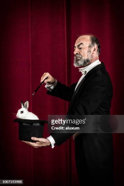 rabbit in tophat of magician - magician stock pictures, royalty-free photos & images