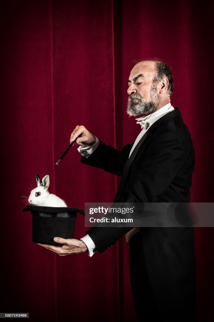 Rabbit in tophat of magician