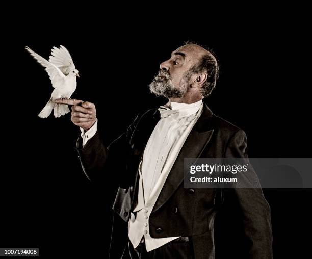mago con blanca paloma - mago fotografías e imágenes de stock
