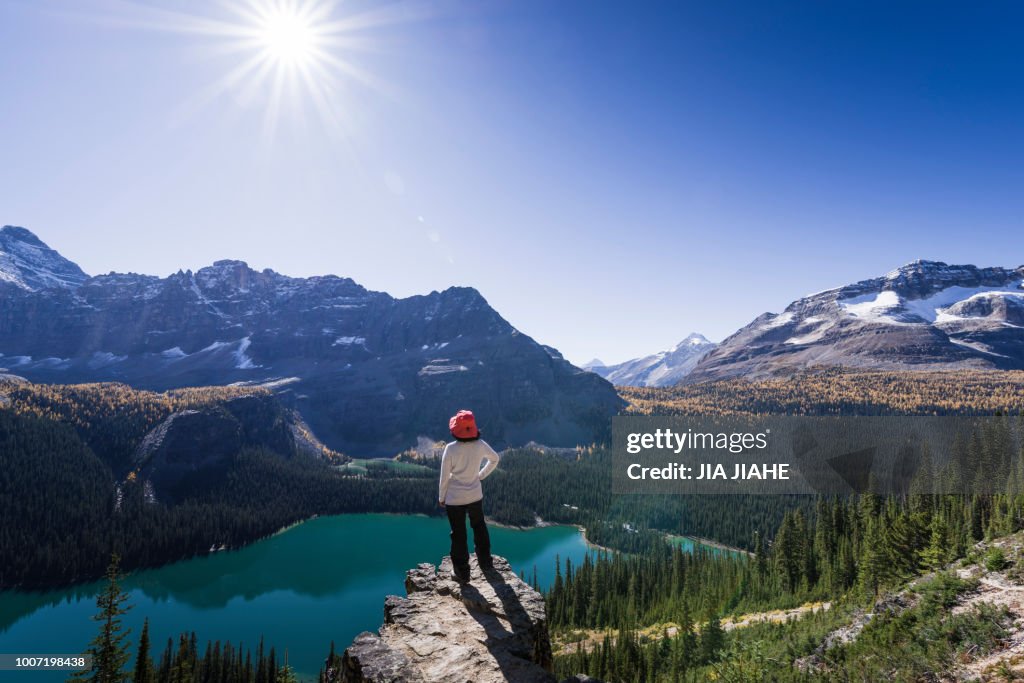Hiker looking at the view of Alpine mountains and Lake O'Hara from the Alpine circuit trail, Yoho National Park, UNESCO World Heritage Site, Canadian Rockies, British Columbia, Canada, North America