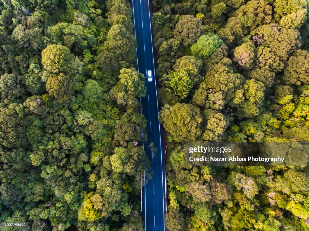 Aerial view road cutting through forest.