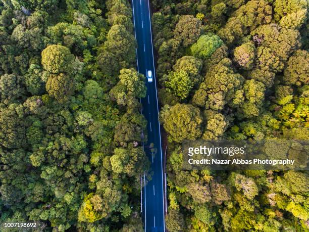 aerial view road cutting through forest. - car on road stock pictures, royalty-free photos & images