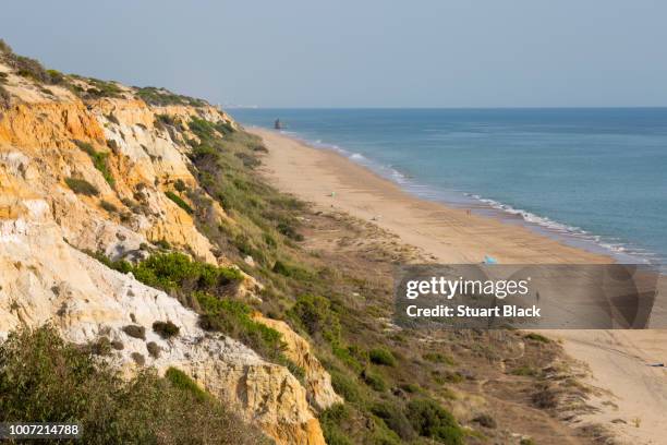 sandy beach and cliffs, mazagon, costa de la luz, huelva province, andalucia, spain, europe - huelva province stock-fotos und bilder