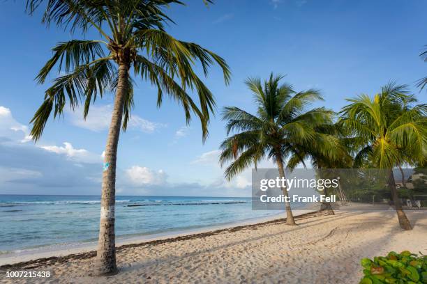 savannah beach, savannah, bridgetown, christ church, barbados, west indies, caribbean, central america - bridgetown barbados imagens e fotografias de stock