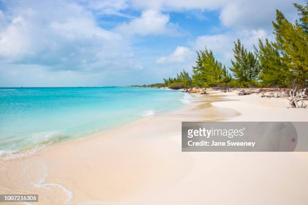 playa paraiso, cayo largo de sur, isla de la juventud, cuba, west indies, caribbean, central america - kuba strand stock-fotos und bilder
