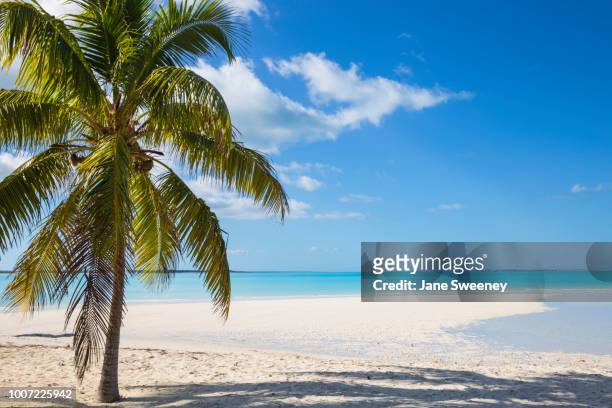 beach at treasure cay, great abaco, abaco islands, bahamas, west indies, central america - abaco islands stockfoto's en -beelden