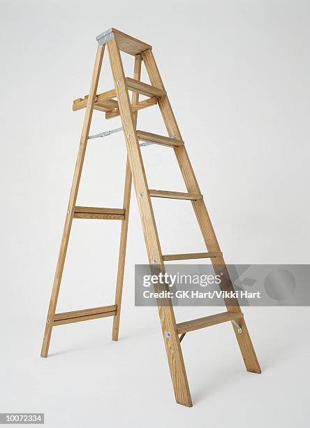 ladder - ladder imagens e fotografias de stock