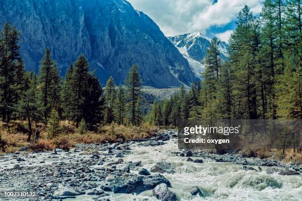 view on aktru river, karatash peak and aktru glacier. altai republic. russia - summits russia 2015 stock pictures, royalty-free photos & images