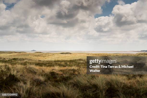 landscape view of the island of sylt, germany - schleswig holstein landschaft stock-fotos und bilder