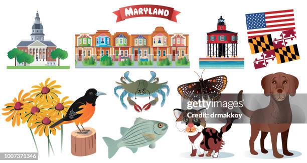 maryland symbols - maryland flag stock illustrations