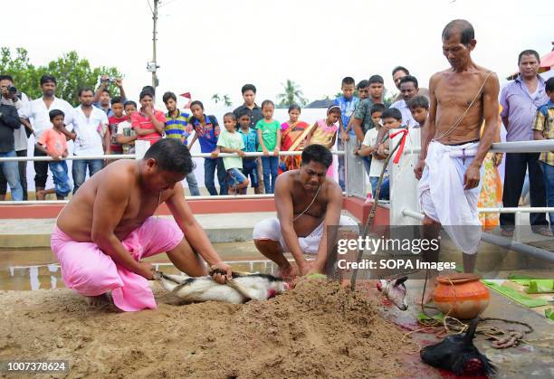 Tribal Priest Photos And Premium High Res Pictures Getty Images tribal-priest-photos-and-premium-high-res-pictures-getty-images