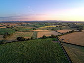Aerial view on cheshire corn and wheat field. Summer sunset
