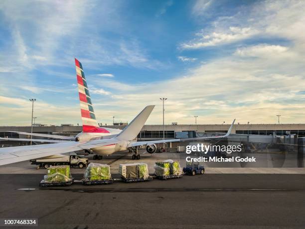 environmental scene of airport with planes and luggage carts - airport cargo stock pictures, royalty-free photos & images