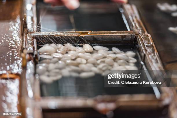 silk spinning instruments and materials close-up at silk mill. - silk cocoon stock pictures, royalty-free photos & images