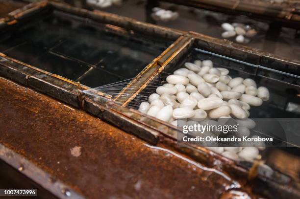 Silk Instrument Ancient Engineering Photos and Premium High Res Pictures - Getty Images