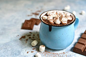 Homemade hot chocolate with mini marshmallow