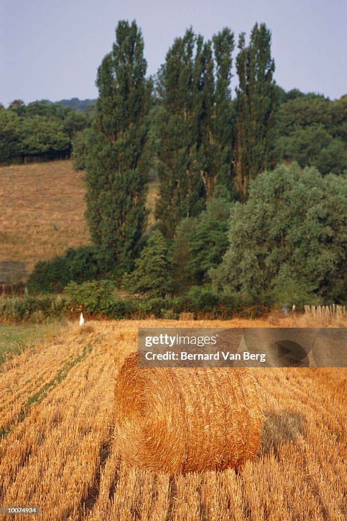 HAYSTACK IN BURGUNDY, FRANCE