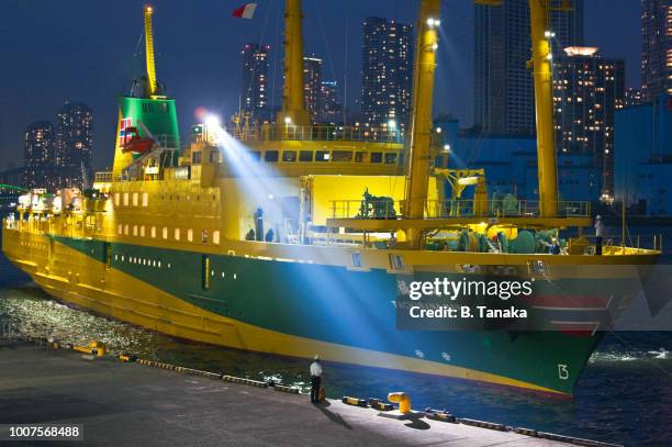 colorful izu cargo ferry arrives at hinode sanbashi pier on tokyo bay in minato district of tokyo, japan - ferry terminal stock pictures, royalty-free photos & images