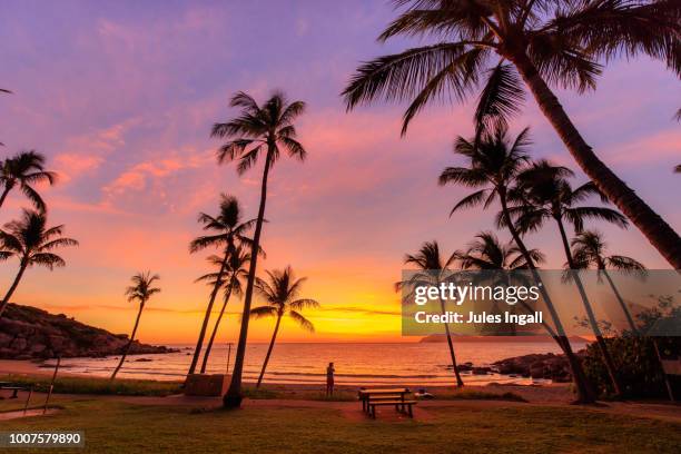 tropical beach - whitsunday island stockfoto's en -beelden