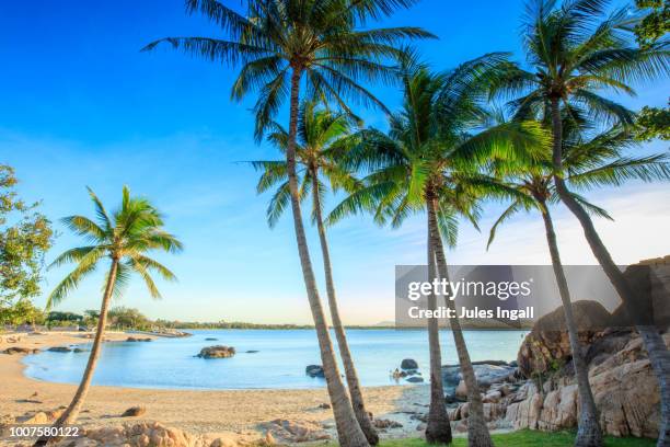 tropical beach - whitsunday island stock pictures, royalty-free photos & images