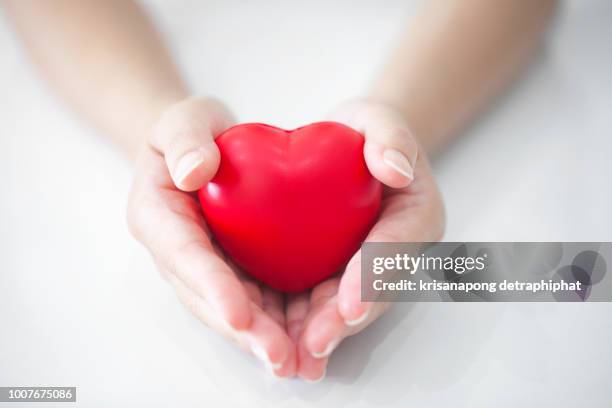 woman holding heart,heart disease - herz ekg hand stock-fotos und bilder