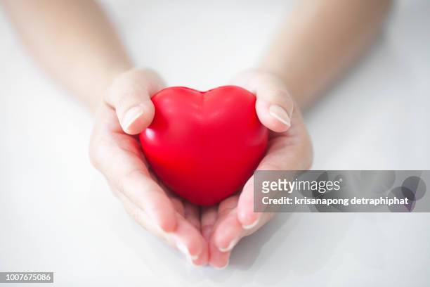 woman holding heart,heart disease - cholesterol medication stock pictures, royalty-free photos & images