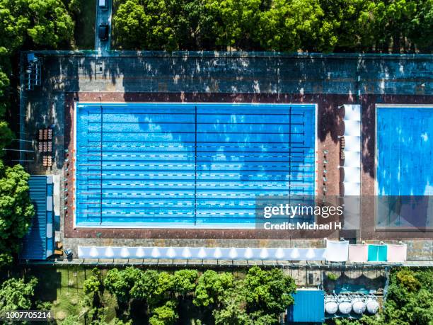 aerial view of pool surrounded by forest - swimming lane marker ストックフォトと画像