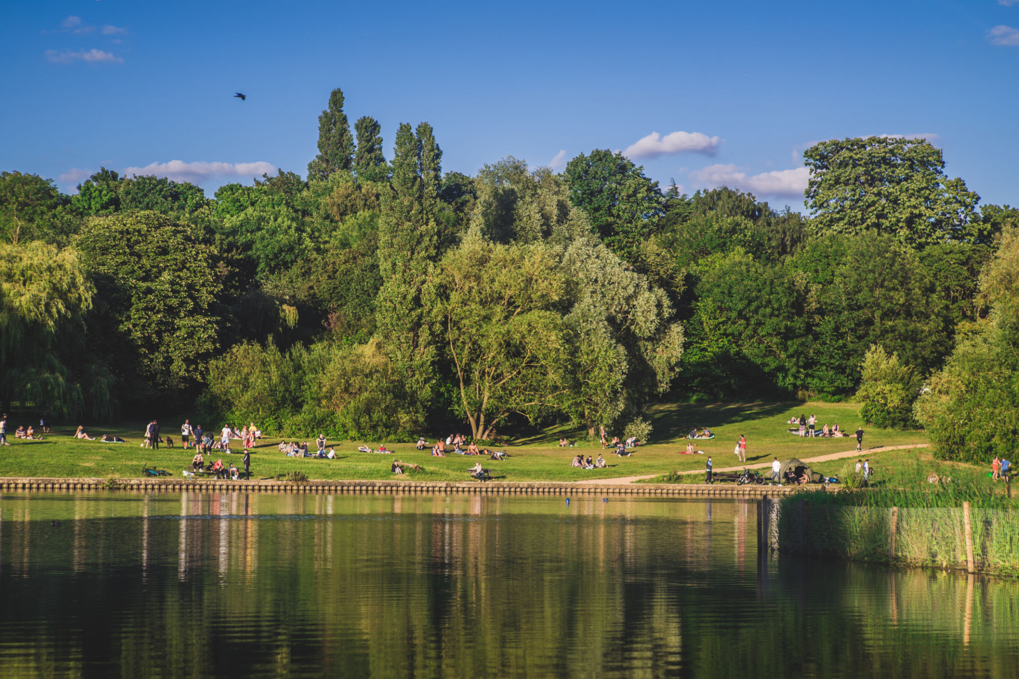 hampstead heath
