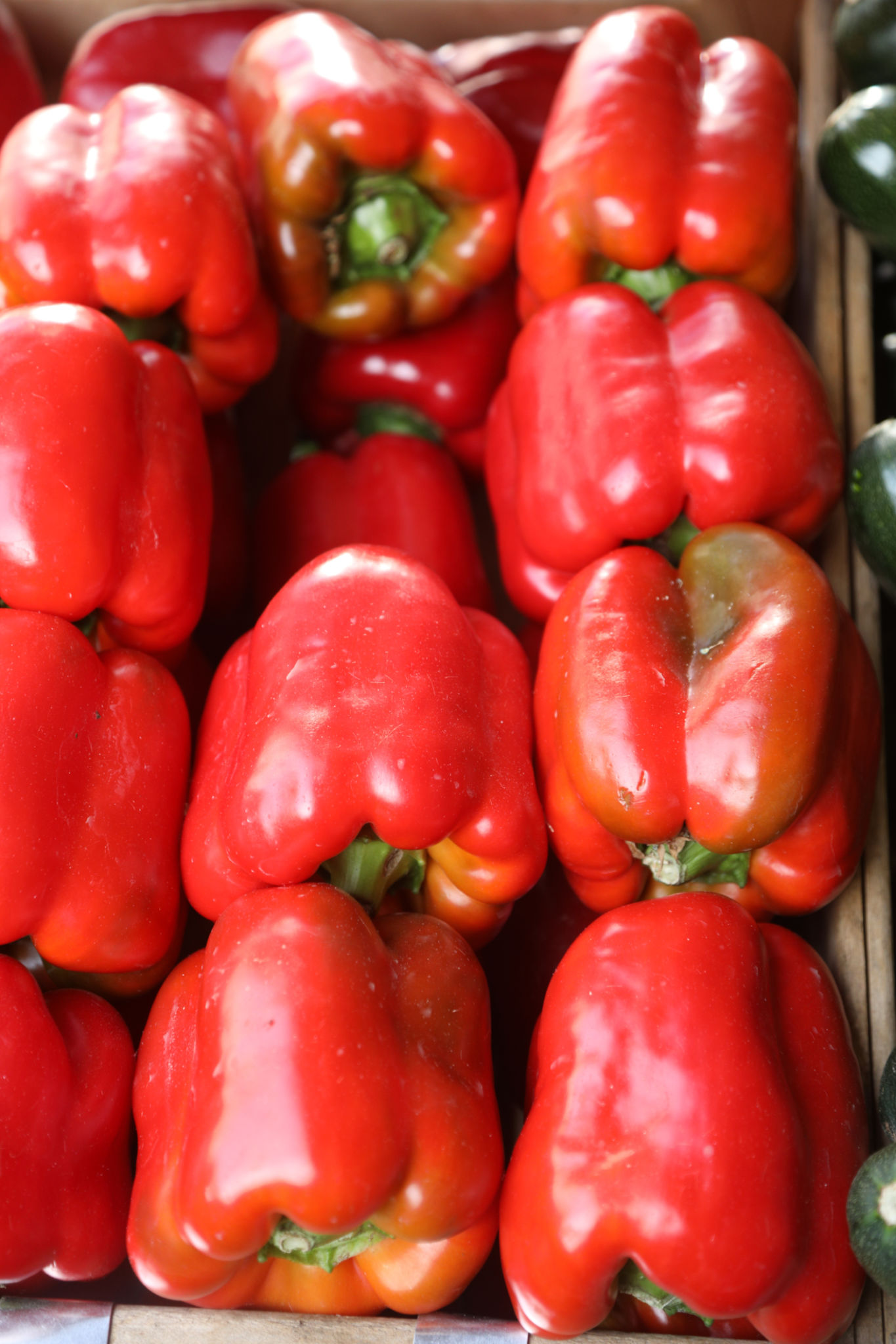 agricultura chile