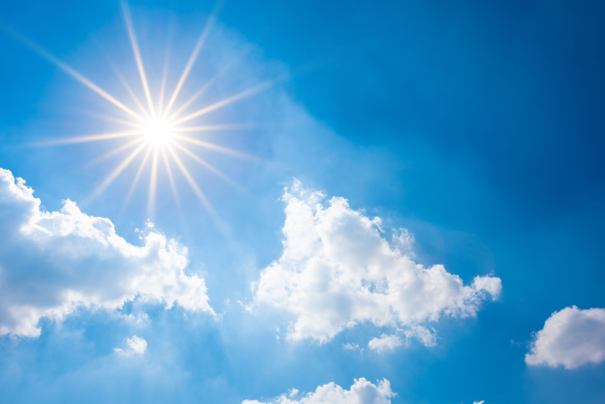 sunny summer