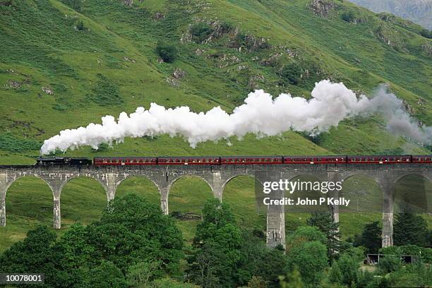 glennfinnan via duct on royal scotsman train - locomotive stock pictures, royalty-free photos & images