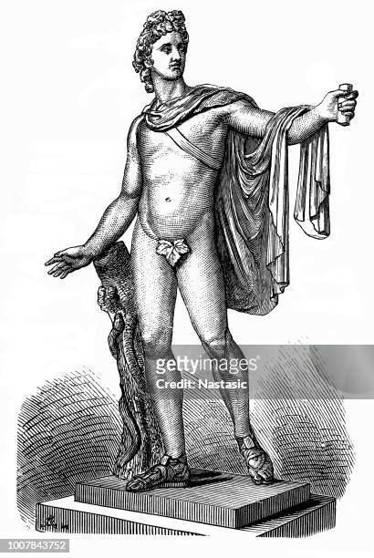 apollo of the belvedere - greek god apollo stock illustrations