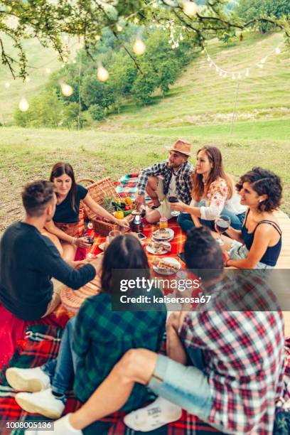 gruppe von freunden zeit machen ein picknick und grillen - barbeque party woman stock-fotos und bilder