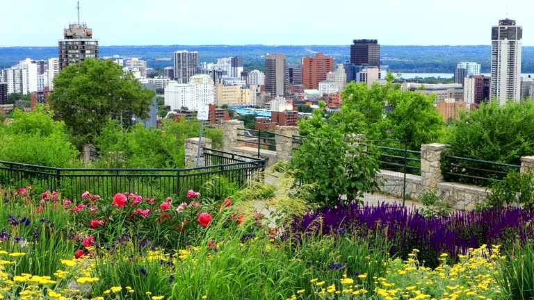 https://media.gettyimages.com/id/1008052352/video/view-of-hamilton-canada-city-center-with-flowers-in-front.jpg?b=1&s=640x640&k=20&c=6DTjP608lYsPNBFx_FAzlIOQCm82KHGvNrtcFP_s_eo=
