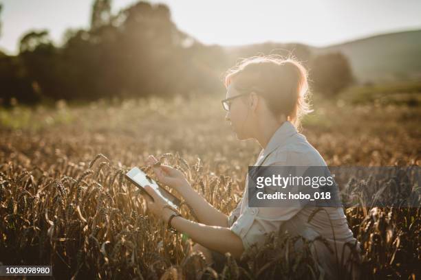 woman examining in the field - farmer tablet stock pictures, royalty-free photos & images