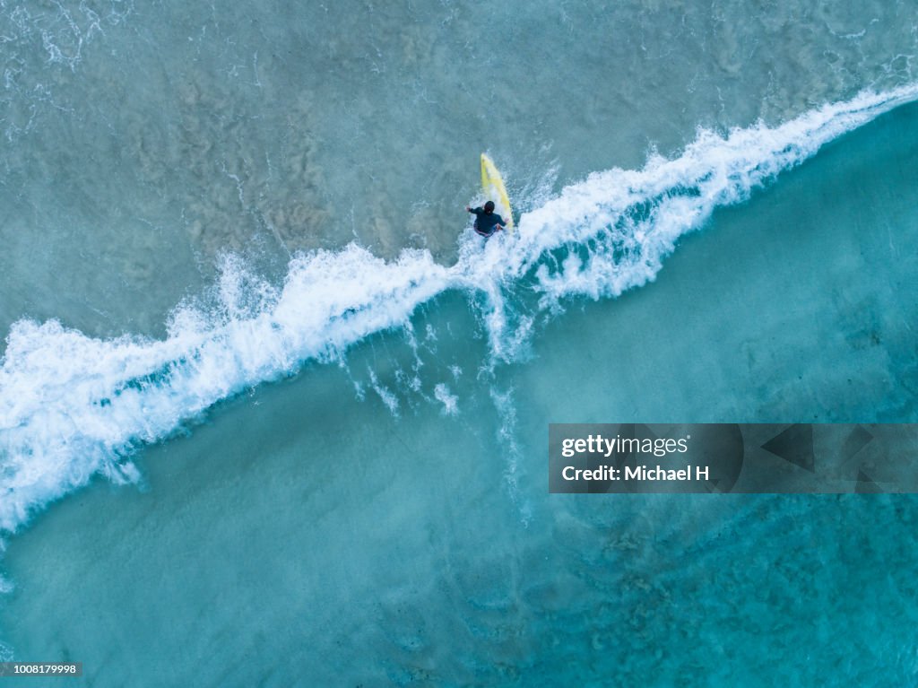 Aerial view of a surfer girl