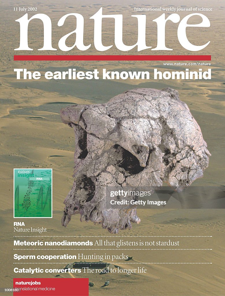 Earliest Skull Discovered