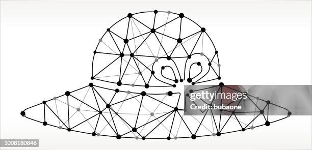 674 Triangle Hat Stock Photos, High-Res Pictures, and Images - Getty Images