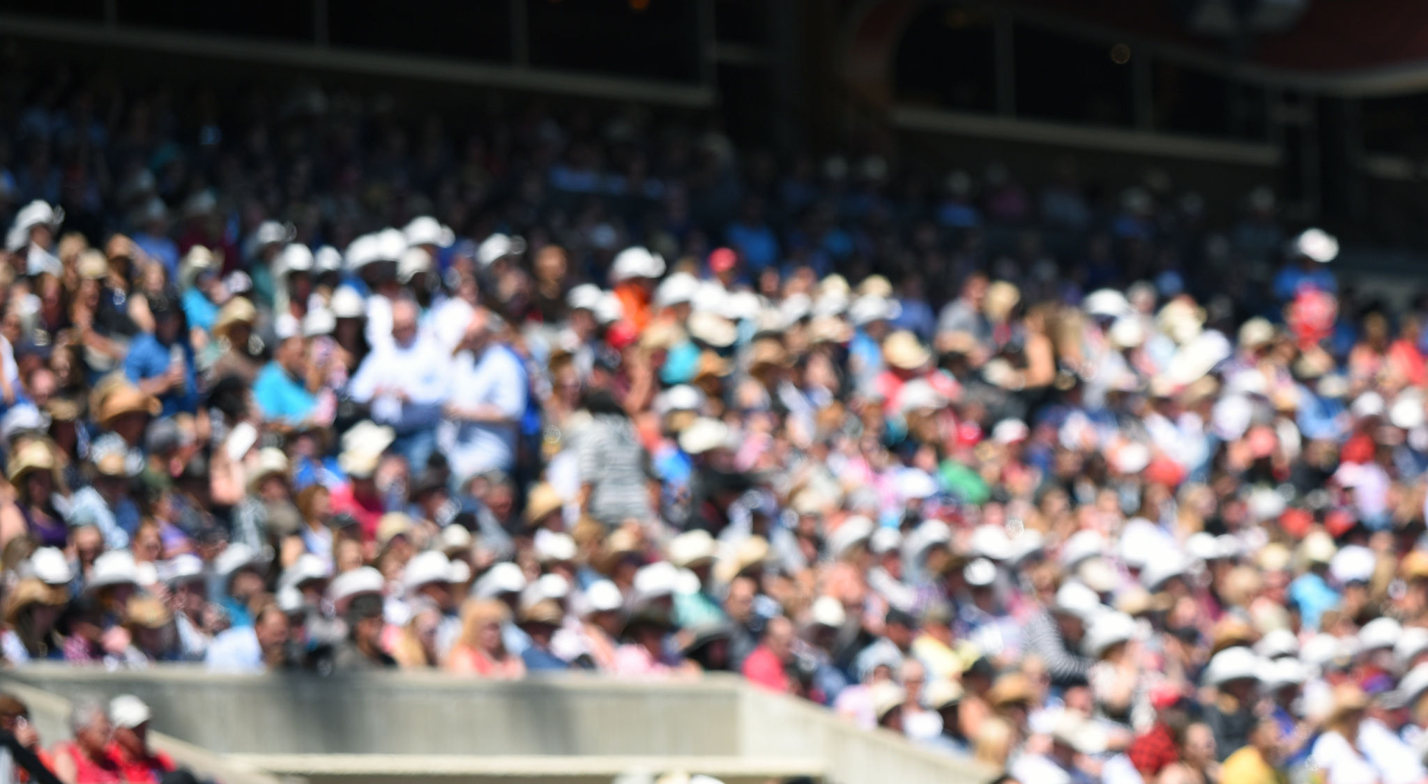 spectator shade