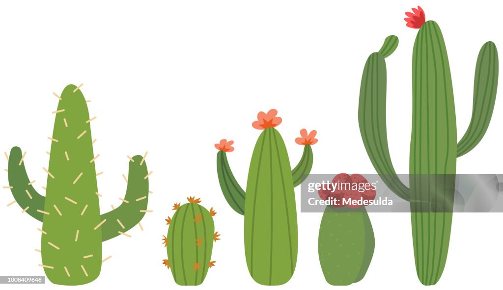 Cactus Flower Vector Cute Cartoon High-Res Vector Graphic - Getty Images Cactus Flower Vector Cute Cartoon High-Res Vector Graphic - Getty Images