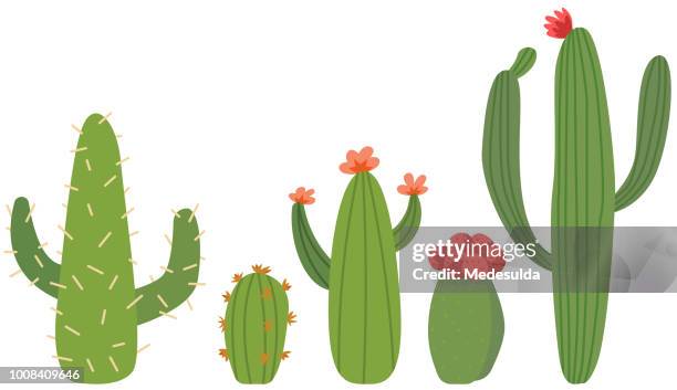 cactus flower vector cute cartoon - cactus drawing stock illustrations