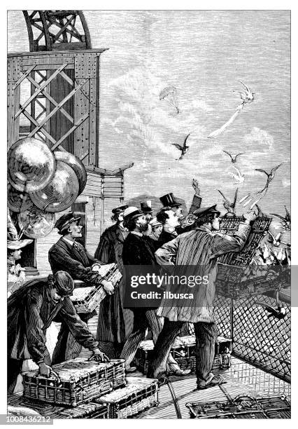 antique scientific engraving illustration: releasing homing pigeon from eiffel tower - homing pigeon stock illustrations