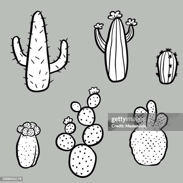 cactus doodle vector - indoor plants stock illustrations