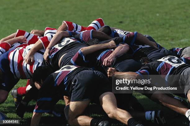 Scruff Rugby 44,618 Rugby Scrum Stock Photos, High-Res Pictures, and Images - Getty ...