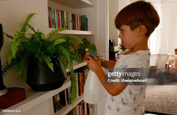 little boy caring for house plant - pocket money stock pictures, royalty-free photos & images